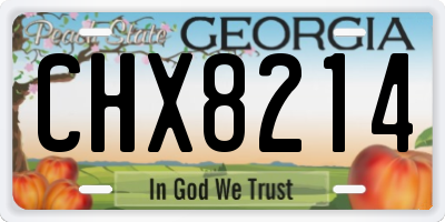GA license plate CHX8214