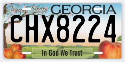 GA license plate CHX8224