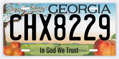 GA license plate CHX8229