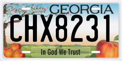 GA license plate CHX8231