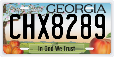 GA license plate CHX8289