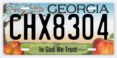 GA license plate CHX8304