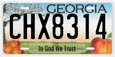 GA license plate CHX8314
