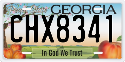 GA license plate CHX8341