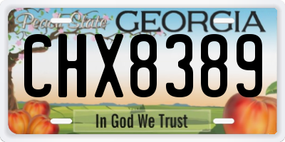 GA license plate CHX8389