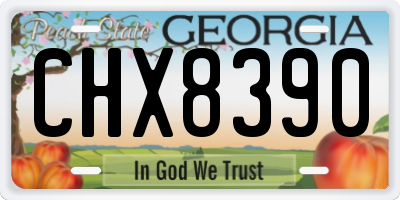 GA license plate CHX8390