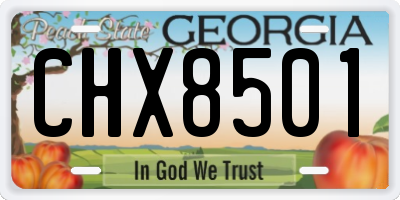 GA license plate CHX8501
