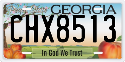 GA license plate CHX8513