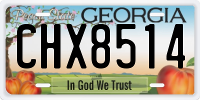 GA license plate CHX8514
