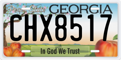 GA license plate CHX8517