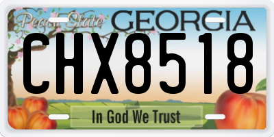 GA license plate CHX8518