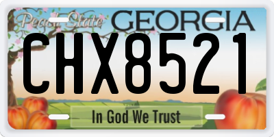 GA license plate CHX8521
