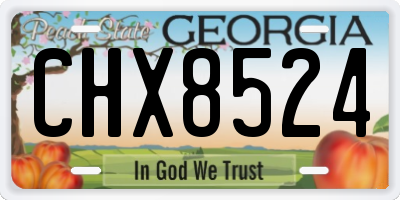 GA license plate CHX8524