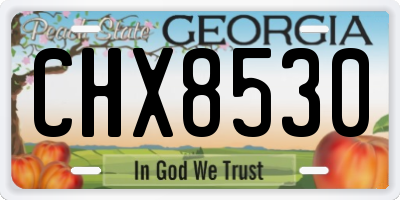 GA license plate CHX8530
