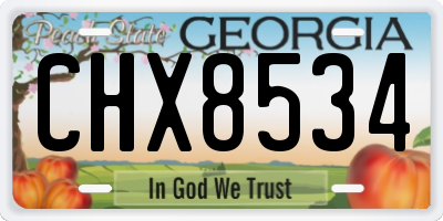 GA license plate CHX8534