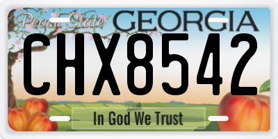 GA license plate CHX8542