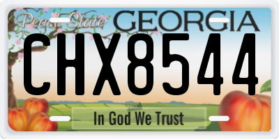 GA license plate CHX8544