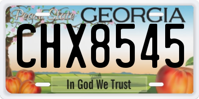GA license plate CHX8545