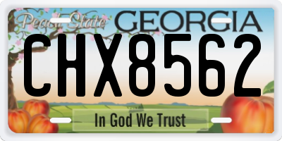 GA license plate CHX8562