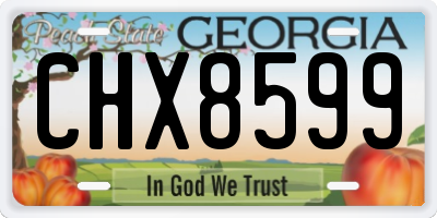 GA license plate CHX8599