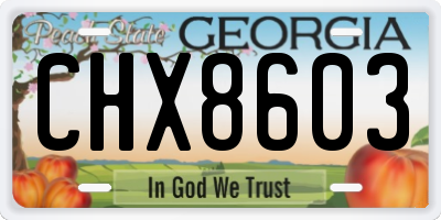 GA license plate CHX8603