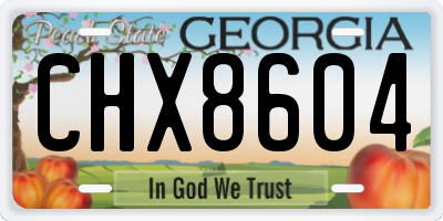 GA license plate CHX8604
