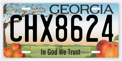 GA license plate CHX8624