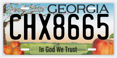 GA license plate CHX8665