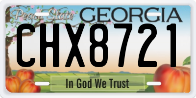 GA license plate CHX8721