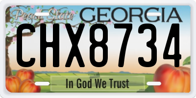 GA license plate CHX8734