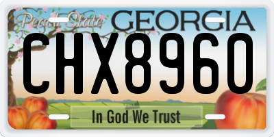 GA license plate CHX8960