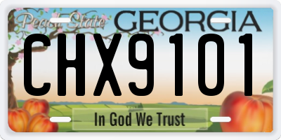 GA license plate CHX9101