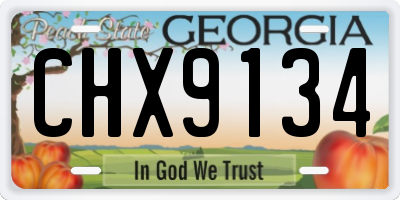 GA license plate CHX9134