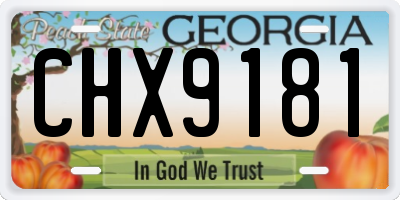 GA license plate CHX9181