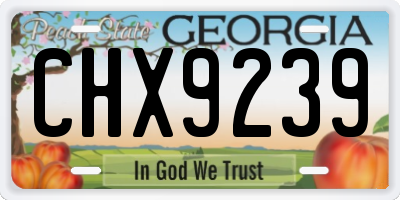GA license plate CHX9239