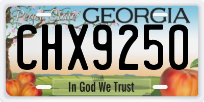 GA license plate CHX9250