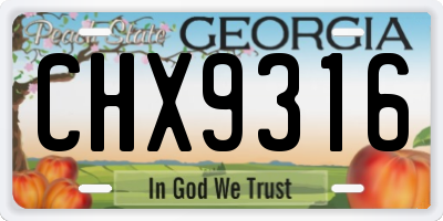 GA license plate CHX9316