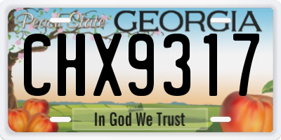 GA license plate CHX9317