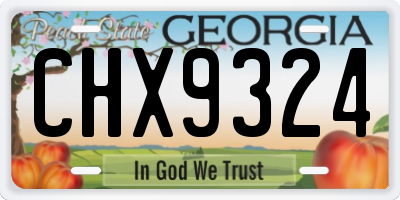 GA license plate CHX9324