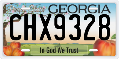 GA license plate CHX9328
