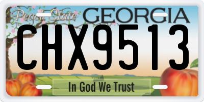 GA license plate CHX9513