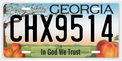 GA license plate CHX9514