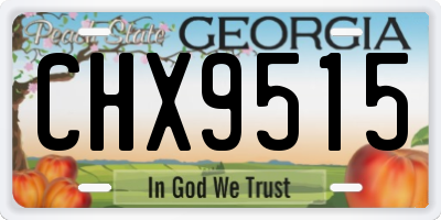 GA license plate CHX9515