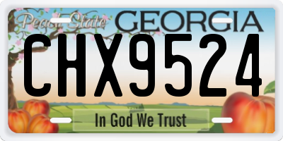 GA license plate CHX9524