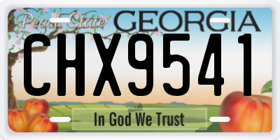 GA license plate CHX9541