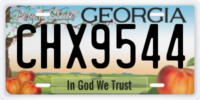 GA license plate CHX9544