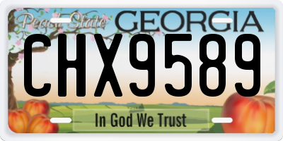 GA license plate CHX9589