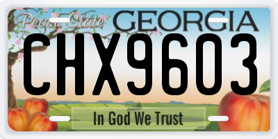 GA license plate CHX9603