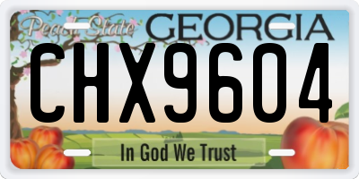 GA license plate CHX9604