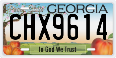 GA license plate CHX9614